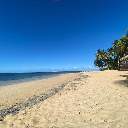 Las Terrenas Beachfront 2 Bedrooms Condo With Pool Eksteriør billede