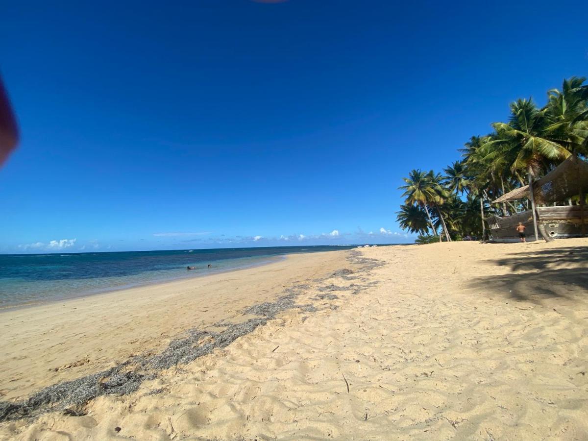 Las Terrenas Beachfront 2 Bedrooms Condo With Pool Eksteriør billede